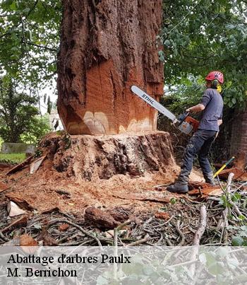 Objectif : Abattre des arbres (3ème et dernière partie